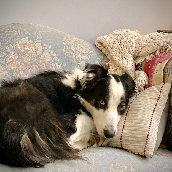 Meet your Posher, N - Picture 16 of 16